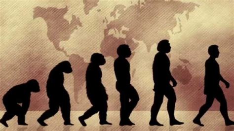 Top 168 Imagenes De La Teoria De La Evolucion De Charles Darwin