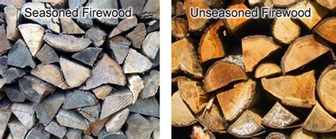 22 Of The Best Firewood Choices You Can Burn This Winter