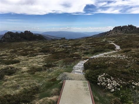 Thredbo Valley Track Thredbo Village Updated 2021 All You Need To