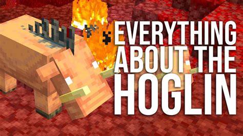 Everything About The Hoglin In Minecraft Youtube