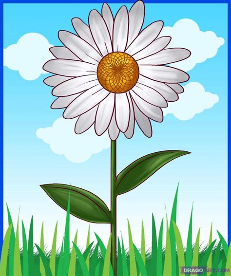 Gambar Animasi Bunga