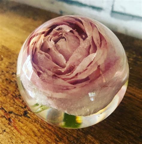 They can be delivered to a funeral in this funeral flowers guide, we share some impactful ways on how to show your support. 𝒞𝓁𝒶𝒾𝓇𝑒 𝐿𝒶𝓃𝒸𝒽𝑒𝓈𝓉𝑒𝓇 on Instagram: "A pretty pink rose from a ...