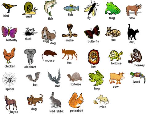 If so, please try restarting your browser. Animals Names - الحيوانات - The ABC