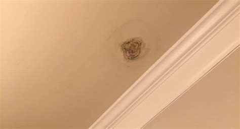 Yellow Spots On My Bathroom Ceiling Best Home Design Ideas