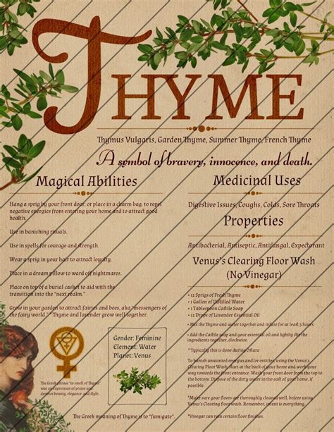 Book Of Shadows Pages Herb Grimoire Digital Download Etsy Canada