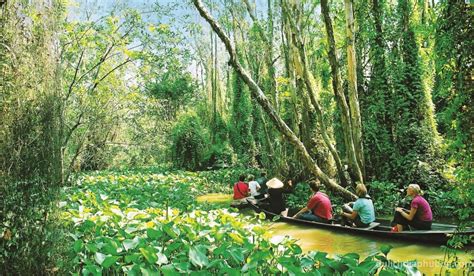 du lịch khu du lịch sinh thái Đồng tháp mười huyện vĩnh hưng