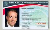 Mexican Driver''s License