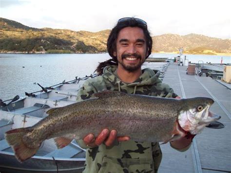 So grab your favorite fly fishing rod and reel, and head out to dixon lake. Dixon Lake - Dixon Lake Fish Report