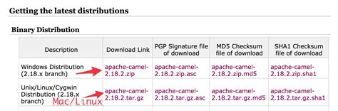 2.2 run application as a service. How to use Maven with Apache Camel - Tom Donohue