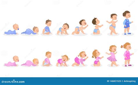 Proceso Del Crecimiento Del Bebé De Recién Nacido Al Niño Preescolar