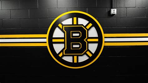 Boston Bruins Logo Boston Logo And Symbol Meaning