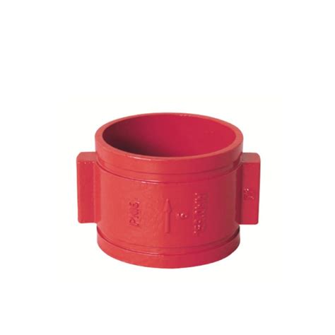 Sant Valves Double Door Grooved Check Valve