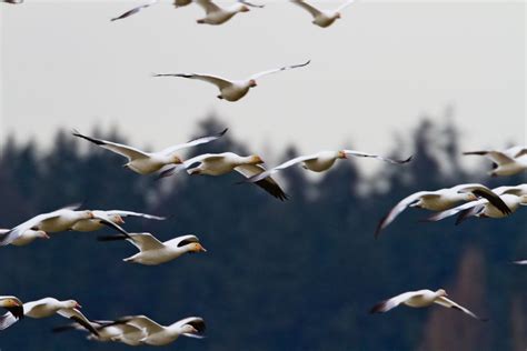 But it has significantly outperformed bitcoin. Cryptocurrencies excluding Bitcoin are a 'gaggle of geese ...