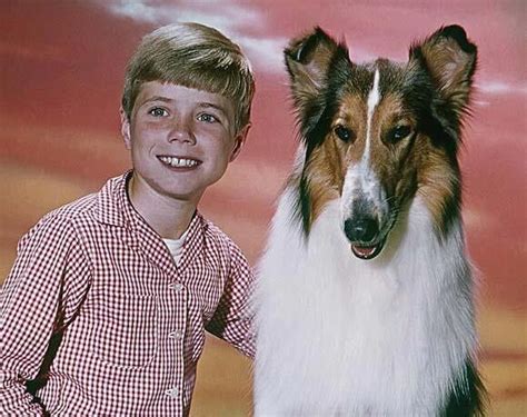 Timmy And Lassie Our Favorite Tv And Movie Stars Pinterest