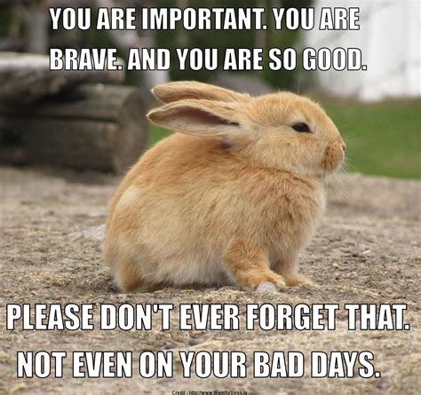 20 Encouragement Memes That Will Surely Lift Your Spirits