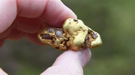 Giant Gold Nugget Found In Scottish River Bbc News