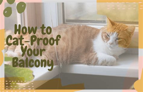 How To Cat Proof Your Balcony Catios Enclosures And More Oliveknows