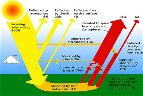 Light is essential for cactus plants, as you probably know. Solar In-depth: From Sun To Nanoparticles To Electricity