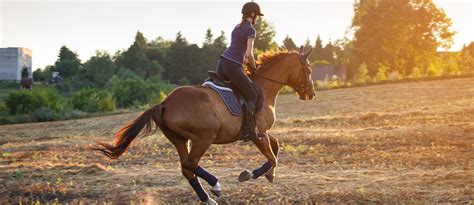 إذ يعزز ركوب الدراجات القدرة العقلية والصحة البدنية مما ينعكس على العلاقات الاجتماعية والشعور بالسعادة، بحسب ما. دليل مراكز تعليم ركوب الخيل - مركز الإمارات - اسطبلات ...
