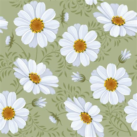 Floral Seamless Pattern Daisy Stock Vector Illustration Of Daisy