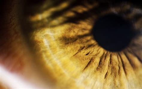 4k Retina Resolution Wallpaper 1610 Eye 4k Retina Resol Flickr