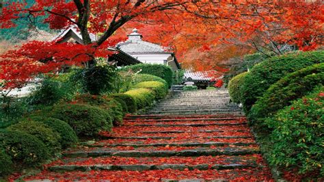 Japanese Autumn Wallpapers Top Free Japanese Autumn Backgrounds