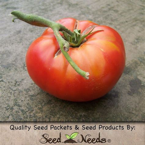 Red Brandywine Tomato Seeds Solanum Lycopersicum With Images