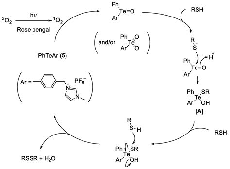 Thiol Oxidation Mechanism