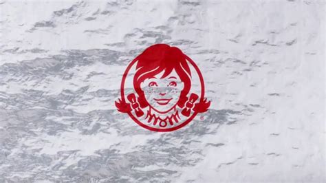 Wendys 1 Fries Tv Commercial Wont Last Long Ispottv
