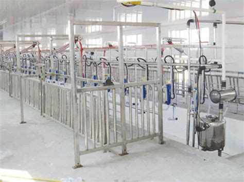 Goat Milking Parlour Tai An Yimeite Machinery Co Ltd Parallel With Feeding System