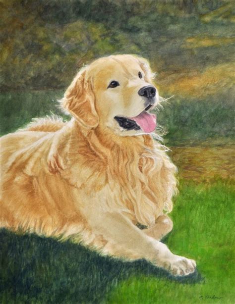 Golden Retriever Art Print Retriever Art Retriever In Nature Art Dog