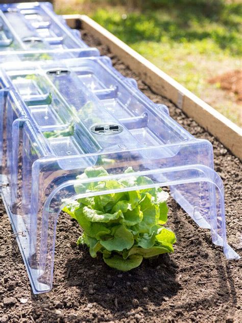 Maybe you would like to learn more about one of these? Garden Row Plastic Cloches Set of 3 | Gardener's Supply ...