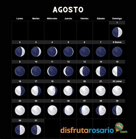 Jul 22, 2021 · pagamento pensioni inps di agosto: calendario agosto 2021 - disfrutarosario.com