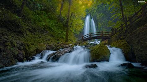 Forest River Wooden Bridges Waterfall For Desktop