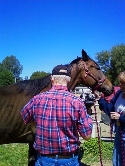 Safe Haven Horse Rescue Journal Sessie Gets Bling For Her Pen And Is On