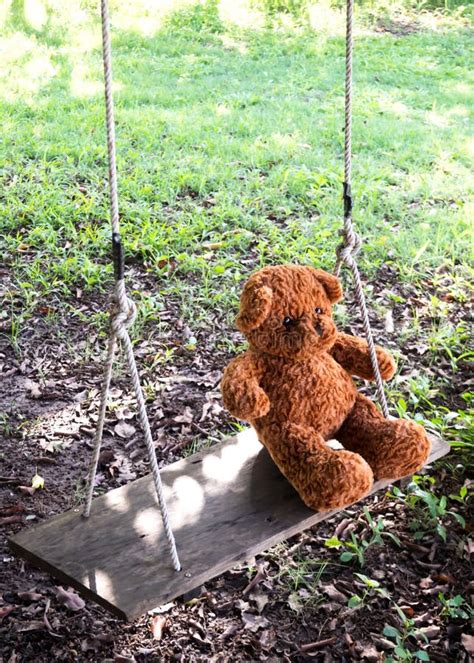 Teddy Bear Sitting On Swing Over Lawn Feeling Alone Favorite D Stock