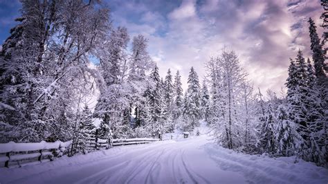 2048x1152 Winter Road Snow Trees White 2048x1152 Resolution Hd 4k