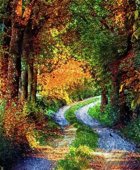 Autumn Trail Digital Art By Bob Smerecki Fine Art America