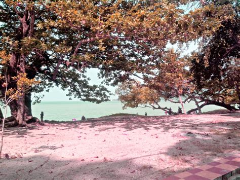 Pantai menganti kebumen mitos rute dari purwokerto wisata gambar gombong foto jawa tengah di ayah villa tentang pantai. .: pantai teluk senangin, perak