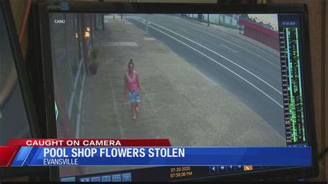 Opening hours for schnucks florist & gift branches in evansville, in. Flowers stolen from Evansville pool shop - YouTube