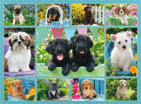 Cute Puppies 500pc Adult Puzzles Puzzles Products