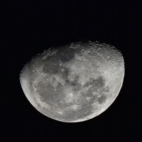 Celebrating The Moon Mjs Photography