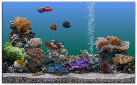 Desktop Background: Fond D'écran Gratuit Aquarium Qui Bouge