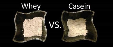 Der begriff protein (eiweiß) hat seine herkunft aus dem griechischen begriff „proton und bedeutet „das erste oder auch „das wichtigste. Whey oder Casein Protein? Welches Wann? Egal? | MoreMuscles.de