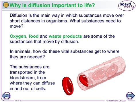 Maybe you would like to learn more about one of these? Movement in and out of cells