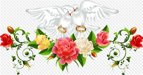 Wedding Png Images - Beautiful Bride