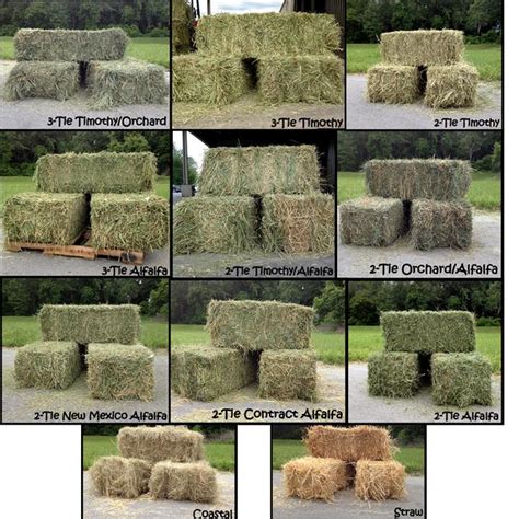 List 101 Pictures Pictures Of Different Types Of Hay Grass Full Hd 2k 4k