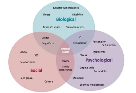 Biopsychosocial Model Coping Skills Social Skills Learned Helplessness Brain Structure Peer