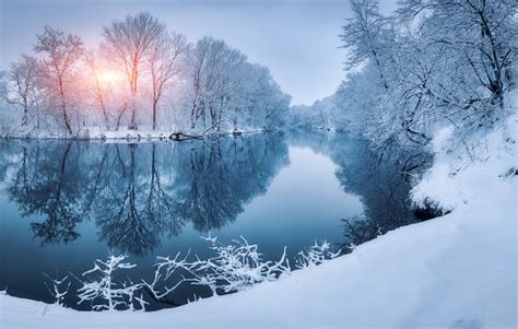 Winter Forest On The River At Sunset Colorful Landscape