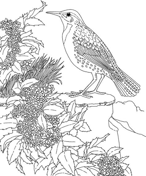 Simply click to download the design that you would like to color.when you are done, we'd love to see your finished work. Oregon Trail Coloring Page at GetColorings.com | Free ...